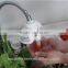 Model LF-0145H/ozone water purifier/ozonated water sterilizer/kitchen ozone tap water