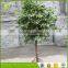 wholesale plastic true trunk high simulation banyan bonsai tree for sale