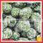 Frozen Chopped Spinach Balls Block