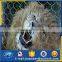 outdoor enclosure for x-tend Animal Enclosure Wire Fence
