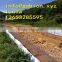 gabion baskets3*2*0.3m-flood control