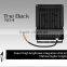 Black case IP66 Waterproof 30W RGB outdoor LED Flood light