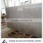 g635 China rosa porino granite slabs for sale