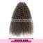 Top Quality Unprocessed Grade 7a Mongolian Kinky Curly Hair