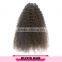 Long Lasting Double Weft Virgin Mongolian Afro Kinky Curly Hair Weave