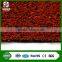 FIFA 2 Star Standard Thiolon Hockey Doorball Grass Artificial Turf for Football Field