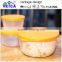 2016 new arrival insulated fish storage box with lid