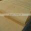 4*8 rotaryt cut natural marsawa veneer with real factory in India market