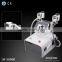 Facial Care Perfect Vacuum PDT 2 Handles Cryo Therapy Freeze Fat Kryolipolyse Machine 590 Nm Yellow 