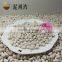 High quality white kidney beans Medium size 2016 crop