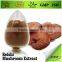 BNP Top quality 100% Natural original ganoderma lucidum extract