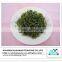 High Quality Undaria Pinnatifida Extract