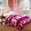 Promotion 100% Polyester Hot Sale Flannel Blanket
