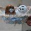 soft stuffed animated animaldirectly import plush dog toys from china