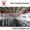 Pig House labor saving automatic augur feed system