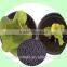 Agrolink Granular Seaweed Organic Fertilizer for good price