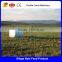 Wholesales silage baling and packing machine factory price