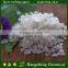 Magnesium Chloride snow dissovle agent