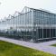 Venlo Type Large Glass Agricultural Greenhouse For Vegetable Growing