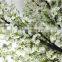 Fire Proof Artificial Blossom Tree Fake Flower Tree for Festival Decoration Factory Direct LGH15-04