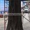 Artificial Large Outdoor Golden Ficus Trees /Garden Decor Fiberglass Ficus/Banyan Tree