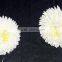 7025-7030 Sola Flower for diffuser