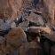 Iron Ore, Iron Ore Lumps, Iron Ore Fines, Hematite Iron Ore, Magnetite Iron Ore.