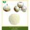 dried garlic powder
