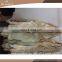 Real Animal Fur Raw Coyote Fur Skin With High Quality