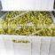 Factory price automatic mung bean sprout machine-bean sprout processing machine