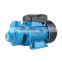 1 Inch 220 Volt 0.8Hp Rate House Garden Electric Motor QB70 Vortex Domestic Water Pump