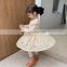 2020 autumn cute children's wear soft lace dress  kids clothing  kids dress