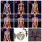 RTS Custom Made Private Label Swimwear Hot Sex Girl Bikini Zebra Leopard Silver Women Bikinis