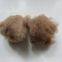 100% Natural Camel Hair, Camel Hair Waste, 28-34mic With Brown Color