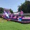 Crown Pink Tobogan Inflable Slides Bouncer Juegos Inflables Коммерческий надувной водный горка для детей