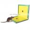 Factory Sales Rat Mouse Glue Traps Sticky Paper Board Mouse Repeller 3 Year Strong Glue+paper+mice Bait+peanut Scent All-season