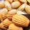 Madeleine Cake Production Machine Line