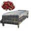GJFJ900 Potato tomato grape Date palm Olive orange Hawthorn Silicone grading machine