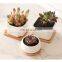 Wholesale Cheap China Indoor Small Plant Pot Ceramic Succulent Plant Flower Pots