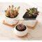 Flower Pots Planters Pottery  Pot Tray White Square Ceramic Succulent Cheapflowerpots Taizhou Succluent Potes Ceramic Mini Pots