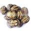 promotional factory natural dry paper skin walnut  ceviz akhrot for wholesale