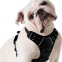 Pet reflective chest strap / pet traction rope / dog rope / dog vest / Pet vest / chest strap