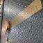 Aluminum Thermal Break Entry Door | High-End Armor Door | Secure & Energy Efficient | Customizable