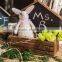 zakka decoration wooden hanging flower pots with black board
