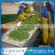 Variable speed motor vegetable belt conveyor for sale
