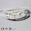 Decorative colorful 5050 IP65 24V 30led Yellow mini led strip light