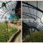 UV resistant PE film for greenhouse