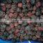 Grade A frozen fruits blackberry for sale