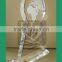 popular custom clear acrylic award and trophy/acrylic trophy design