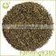 Green Tea bag Factory